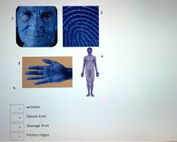 Ch 5 5.3 And 5.4 | Ppt