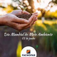 45 frases sobre meio ambiente para se conscientizar e cuidar da natureza não é segredo para ninguém que a interferência humana tem causado muitos prejuízos para o meio ambiente. Dia Mundial Do Meio Ambiente