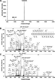 Human leukocyte antigens (hlas) are proteins that help the body's immune system tell the difference between its own cells and foreign. Molecular Mimicry Of An Hla B27 Derived Ligand Of Arthritis Linked Subtypes With Chlamydial Proteins Journal Of Biological Chemistry