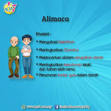 Uti merujuk kepada urinary tract infections, ataupun jangkitan saluran kencing. Mykedai Kopi Akar7 Startseite Facebook