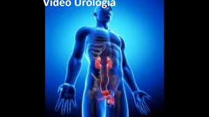 Il tumore ai testicoli si verifica quando si formano cellule cancerogene nei testicoli, ovvero le ghiandole ovali che producono sperma e testosterone negli uomini tra 15 e 35. Dolore Testicoli E Basso Ventre Tormento Inoltre Sacrificio Ai Testicoli Cause Ed Rimedi