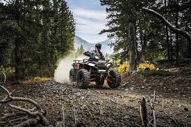 In this article, we are going to discuss about the top 10 best tv brands 2020. 2020 Atv Buyer S Guide