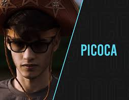 Picoca Projects :: Photos, videos, logos, illustrations and branding ::  Behance