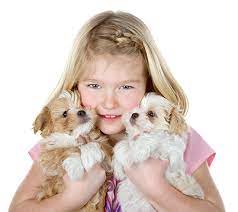 Read on to discover more surprising facts about baby 9 surprising facts about puppies. Socializing Your Puppy With Your Kids