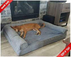 The great dane is a dog breed that symbolizes pride, compassion, power, elegance, strength, and dignity because of its sheer muscles, appearance, and large body size. Extra Large Great Dane Dog Bed Deluxe Orthopedic
