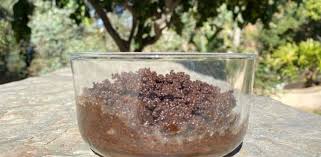 Using coffee grounds in the garden. Are Coffee Grounds Good For Strawberry Plants Couch To Homestead