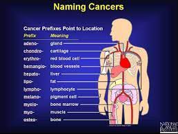 Oncology meaning, definition, what is oncology: Pin On Pln Oncology 2018