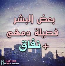 image decouverte par ღ zozo h98 decouvrez et enregistrez vos images et videos sur we heart movie quotes funny funny arabic quotes life quotes wallpaper
