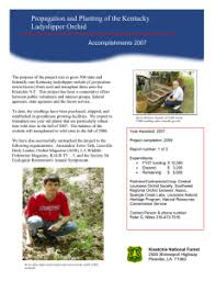 Image result for Brachycorythis rhodostachys