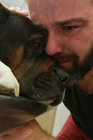 Support and Sharing After Losing a Beloved Pet to Kidney Failure