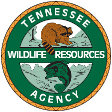 Maybe you would like to learn more about one of these? Login Enroll Tennessee Hunt Fish Licenses Go Outdoors Tennessee