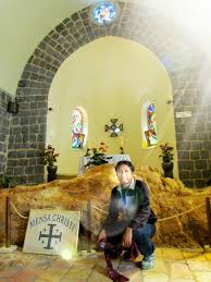 Yesus telah dipercaya oleh banyak orang menampkakkan dirinya kedalam banyak hal, berdasarkan data yang telah kami kumpulkan dari berbagai . Catatan Tentang Penampakkan Penampakkan Yesus Gema Pasionis