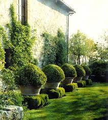 Big Beautiful Balls Boxwood Garden Landscape Design Beautiful Gardens