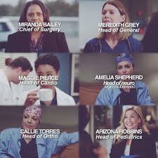 Pin By Baileybenley Pierce On Tv Grey S Anatomy Meredith Grey Greys Anatomy Chief Of Surgery