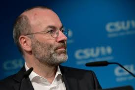 Nicole Fuchsbauer aus Nürnberg