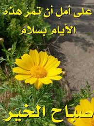 Pin By Mohammed Mahdi On صباحيات Morning Images Romantic Love Quotes Morning Wish