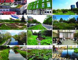 Antwerp's ruien run under the red light district. Urban Green Infrastructure A Green Roof In Antwerp Belgium B Download Scientific Diagram