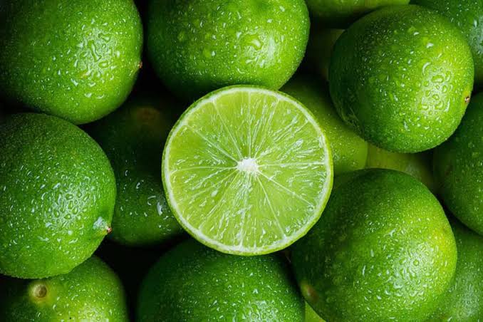 Cultivo de Limón BIOERGANZ