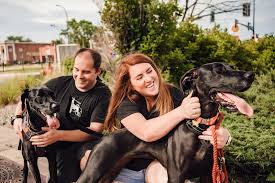 Great dane puppies for adoption in wisconsin. Home