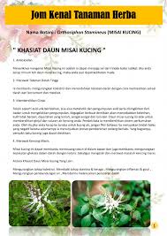 Check spelling or type a new query. Tanaman Misai Kucing Flip Ebook Pages 1 2 Anyflip Anyflip