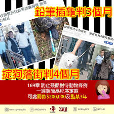 Jun 23, 2021 · 源起洪荒，地球上第五個確認的大洋和其他四個同樣古老，為什麼最近才以大洋身份亮相？確立「名分」有什麼意義？ Facebook