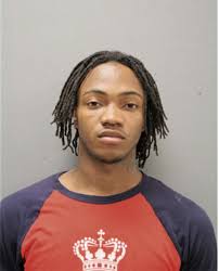 ᐅ Illinois Criminal Records 2009-2026