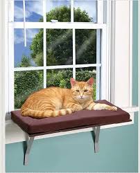 Free shipping to 185 countries. The 25 Best Cat Window Perches And Beds Of 2020 Cat Life Today