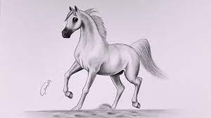 تعليم الرسم كيفية رسم حصان learn how to draw a horse horses drawings horse pencil drawing