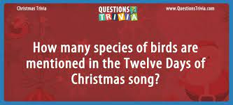 When most people hear the words the twelve days of christmas, the. How Many Birds Are Mentioned In The Twelve Days Of Christmas
