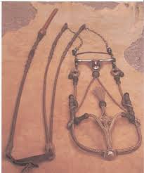 Braided Rawhide Headstall And Reins By Rawhide Braider Kevin
