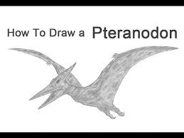 How To Draw A Pteranodon Pterodactyl Easy Drawings Drawings Mood Board Inspiration