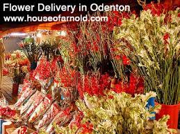 Maybe you would like to learn more about one of these? Flower Delivery In Odenton Address 4109 Annapolis Rd Maryland Md 4106365181 8777492778 Website Www Houseofarnold C Flower Delivery Florist Floral Gifts