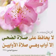 قال رسول الله ﷺ لا يحافظ على صلاة الضحى إلا أواب وهي صلاة الأوابين الراوي أبو هريرة المحدث الألباني المصدر صحيح الجامع الصفح lei necklace food desserts