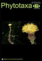 Image result for Emilia transvaalensis