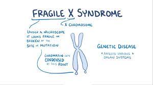 Fragile X Syndrome Osmosis