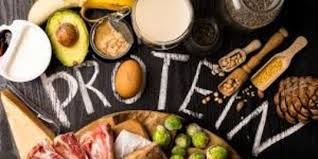 Check spelling or type a new query. 7 Jenis Makanan Yang Mengandung Protein Tinggi Sumber Energi Saat Puasa Merdeka Com