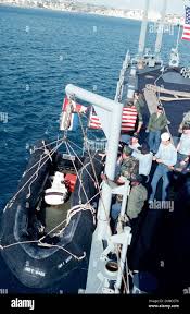 Image result for Malacca Blue 1989 Summit