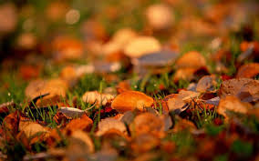 The great collection of macbook background for desktop, laptop and mobiles. Macbook Pro Retina Wallpaper Quotes