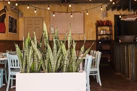 Cactus blue mexican restaurant serves fun, fresh, festive food. 13 Delicious Mile End Montreal Restaurants You Can T Miss