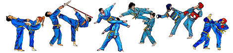 Risultato immagini per Vovinam viet vo dao