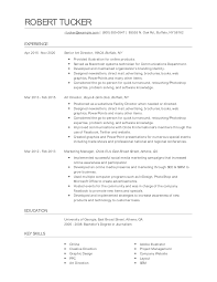 Senior Art Director Resume Examples And Tips Zippia