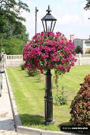 Stunning 36 Hanging Flower Basket Ideas Http Gardenmagz Com 36 Hanging Flower Basket Ideas Patio Flowers Outdoor Landscape Lighting Outdoor Landscaping