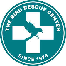 The Bird Rescue Center First Baby Nuttall S Woodpeckers Release Facebook