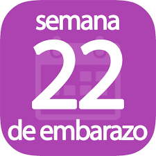 Ha llegado las 22 semanas de embarazo y el tiempo ha pasado muy rápido. Cuantos Meses Es 22 Semanas De Embarazo Calendario Del Verguenza