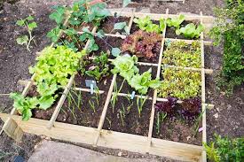 If you're working at this level, you will not be able to say more than a few words without this type of exercise is also known as high intensity interval training (hiit). Your Ultimate Guide To Square Foot Gardening Gardener S Path