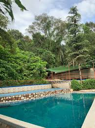 We did not find results for: Forest Hillside Pools Home Facebook