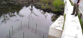 Prevention if you don't mind the beavers living on your creek or pond but want to avoid the damage they can do, you can install a tube drainage system that will allow the backed up water to drain away from the area and into the creek. Beaver Proof Culvert Beaver Pipe Fence Beaver Solutions