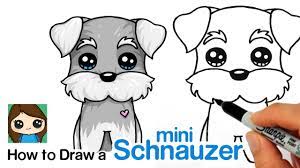 How To Draw A Miniature Schnauzer Puppy Easy Cartoon Dog Schnauzer Puppy Cartoon Dog Drawing Cute Drawings