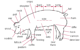 Illustration of diagram showing body part of pig. Pin By Bridgette Newell On 4 H Pig Farming Pig Raising Pigs