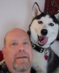 If anyone sees or finds a female husky named Daisy please contact  518-330-9363 or 518-681-7800.Thank you